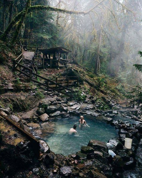 Terwilliger Hot Springs | cougar hot springs Herbarium Aesthetic, Hot Springs Oregon, Supraviețuire Camping, Piscina Natural, Oregon Travel, Destination Voyage, Hot Spring, Blue Water, Hot Springs