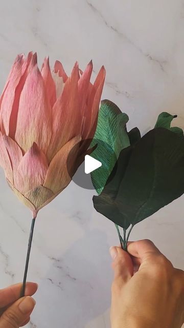 Paper Protea, Julie Lee, Flowers In The Attic, King Protea, Protea Flower, Instagram King, Large Paper Flowers, Paper Flower Template, Crepe Paper Flowers