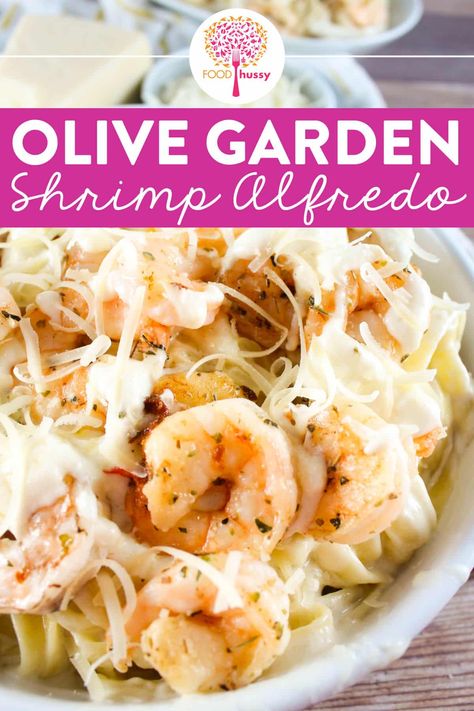 Olive Garden Shrimp Alfredo, Egg Salad Pasta, Pasta Alfredo Receta, Fetuchini Alfredo, Fetuccini Alfredo, Shrimp Alfredo Pasta Recipes, Shrimp Pasta Recipes Easy, Fried Seafood, Alfredo Sauce Recipe Homemade