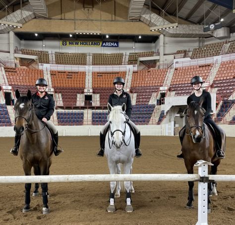 When I looked at colleges, I always knew I wanted to ride, but I never thought I would end up riding for a school like Miami University. I went from being a scared freshman to a team member in no time. I was given the opportunity to excel on amazing horses alongside lovely teammates and trainers. But […] The post The 2022 IHSA Nationals Through a Competitor’s Eyes appeared first on RoyalBabyCollection.com. College Equestrian Team, Hunt Seat, Amazing Horses, Miami University, Horse Drawing, University Of Miami, Royal Baby, Train Car, Blue Lake