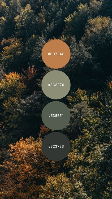 A trio of cool green paired with pumpkin give autumn vibes. Try it in the living room, kitchen, bedroom or at the cabin / cottage. #colourpalette #colorpalette #colour #color #palette #Spruce #forest #green #nature #orange #trees Green Orange Color Palette Bedrooms, Forest Tones Colour Palettes, Forest Color Pallette, Forest Colour Pallet, Black Green Orange Color Palette, Camping Colour Palette, Forest Colour Scheme, Walnut And Green Color Palette, Spruce Green Color Palette