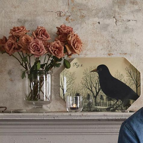 John Derian Does Halloween for Target - Linda Merrill Target Holiday, Raven Bird, John Derian, Autumn Decorating, Halloween Party Supplies, Halloween Displays, Nature Drawing, Black Candles, Old Wallpaper