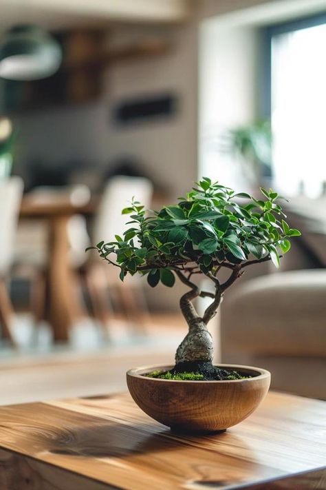 How To Create A Bonsai Tree From A Branch: Beginner's Guide Bunny Ideas, Japanese Bonsai Tree, Pre Bonsai, Bonsai Tree Care, Indoor Bonsai Tree, Backyard Balcony, Japanese Bonsai, Indoor Bonsai, Miniature Trees