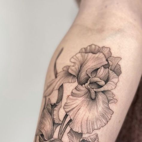 Emily B ❤️‍🔥 London, UK on Instagram: "Delightful day with Agnieszka covering some old scars ❤️ I forgot how much I really love iris flowers! Thank you! Fill out the form in my bio to book your next tattoo! #fineline #finelinetattoo #finelinetattooing #bngtattoo #bngtattoosociety #bngtattoos #londontattooartist #femaletattooartist #stippling #stippletattoo #peppershade #peppershadetattoo #iristattoo #botanicaltattoo" Uk Tattoo Artists, Iris And Poppy Tattoo, Iris Tattoo Fine Line, Botanical Line Tattoo, Fine Line Iris Tattoo, White Flower Tattoo, White Flower Tattoos, Iris Flower Tattoo, Stippling Tattoo