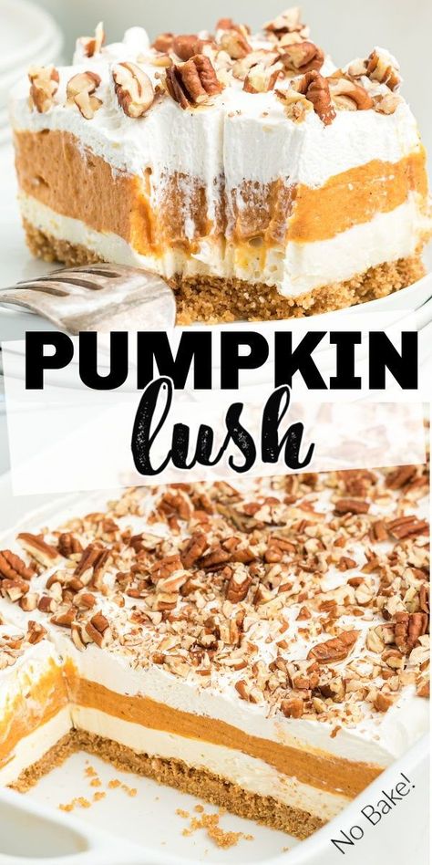 Creamy Layered Pumpkin Dessert, Pumpkin And Cream Cheese Desserts, Pumpkin Cream Cheese Layered Dessert, Pumpkin Bars Graham Cracker Crust, Pumpkin Yum Yum, Pumpkin Pie Delight, Pumpkin Delight Dessert Easy, Pumpkin 4 Layer Dessert, Pumpkin Pie With Cream Cheese Recipe