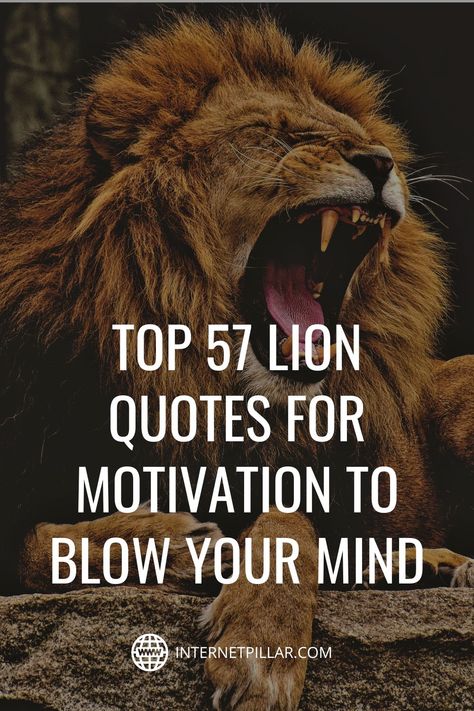 Quotes On Lion, Quotes With Lion Images, Lion Strength Quotes, Quotes About Lions Strength, Heart Of A Lion Quotes, Lion Pride Quotes, Lion Tattoo Quotes, Lions Quotes Strength, Lion Captions Instagram