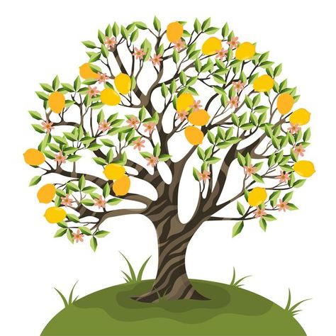 Tree With Branches, Persimmon Tree, Tangerine Tree, Watercolor Pineapple, Branch Vector, Orange Plant, Fruit Vector, Tree Sketches, Citrus Trees