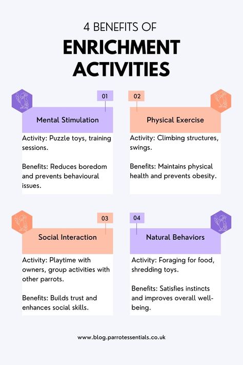 Enhance your parrot's well-being with these enrichment activities. Discover the benefits of mental stimulation, physical exercise, social interaction, and natural behaviours. Keep your feathered friend happy and healthy!   For more details, visit www.blog.parrotessentials.co.uk Parrot Enrichment Ideas, Parrot Activities, Parrot Enrichment, Pet Enrichment, Zoo Enrichment, Enrichment Projects, Enrichment Activities, Mental Stimulation, Bird Care