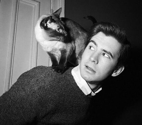 Anthony Perkins | Classic Movie Stars Spending Time With Their Pets Celebrities With Cats, Patricia Highsmith, Men With Cats, Anthony Perkins, People Poses, Classic Movie Stars, Cat People, Cat Person, Vintage Cat