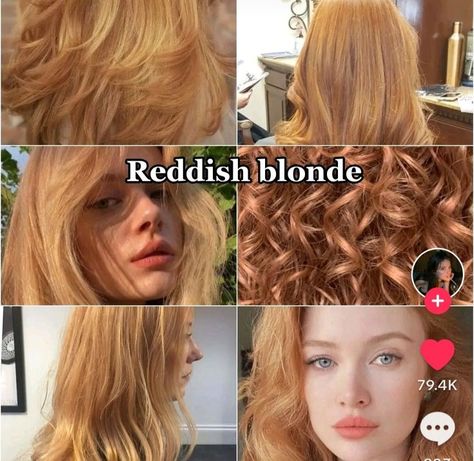 Reddish Gold Hair, Ballerina Hairstyles, 2024 Hair Trends For Women, Best Haircuts For Women, Stylish Hair Colors, 2024 Hair Trends, Honey Blonde Hair Color, Cotton Candy Hair, Hairstyle Examples