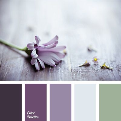 This colour palette will look beautifully and harmoniously in a wedding decor this winter. Use these colours for floral design and decoration of the room w. Deco Violet, Color Palette Ideas, Palette Ideas, Color Palate, Design Seeds, Color Balance, Living Room Bathroom, Colour Board, Color Stories