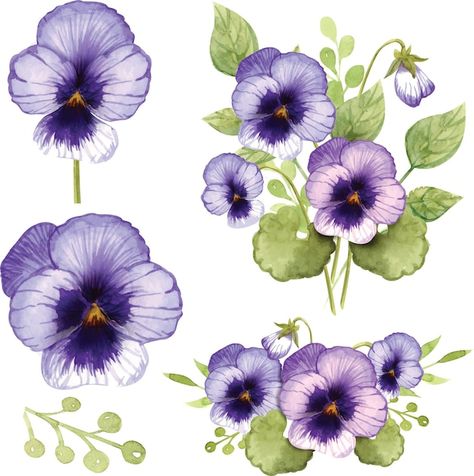 Pansies Art, Pansy Tattoo, Purple Butterfly Tattoo, Watercolor Pencil Art, Drawing Scenery, Watercolor Paintings Nature, Floral Wallpaper Phone, Floral Drawing, Pansies Flowers