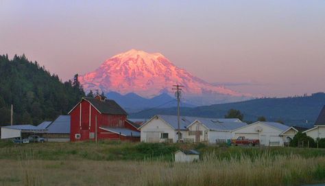 Things To Do In Bonney Lake, Washington | Trip101 Bonney Lake Washington, Seattle Travel Guide, Mt Rainer, Rainy City, Lake Washington, Waterfront Dining, Evergreen State, Mt Rainier, Big Guy