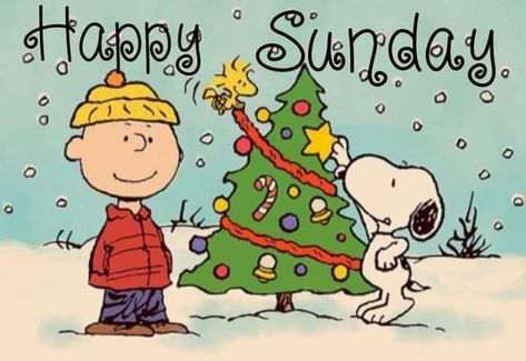 A Charlie Brown Christmas, Brown Christmas, Charlie Brown Christmas, A Cartoon, Charlie Brown, Christmas Card, Snoopy, Twitter, Christmas