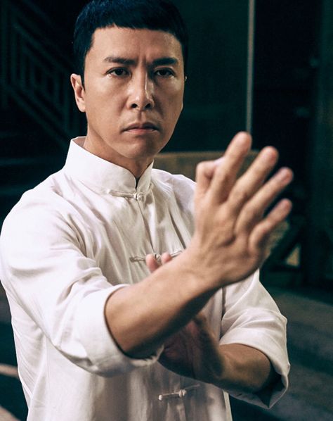 Donnie Yen Ip Man, Ip Man Movie, Donnie Yen Movie, Wing Chun Martial Arts, Art Martial, Dung Beetle, Bruce Lee Martial Arts, Wing Chun Kung Fu, Martial Arts Film