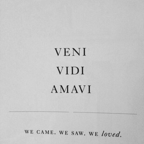 Veni Vidi Amavi Latin for "I came, I saw, I loved" Veni Vidi Amavi, Fina Ord, French Quotes, Three Words, Amazing Quotes, Instagram Captions, Pretty Words, Art Director, The Words