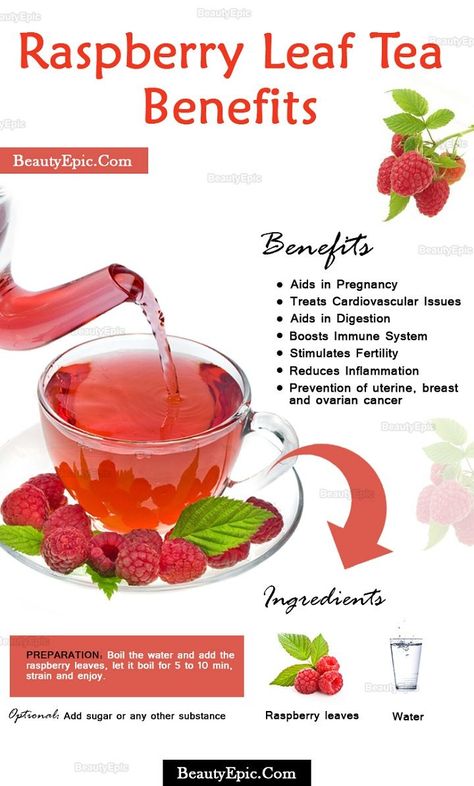 raspberry leaf tea benefits #foodismedicine #raspberryleaf #raspberry Raspberry Leaf Tea Benefits, Tomato Nutrition, Raspberry Leaf Tea, Calendula Benefits, Raspberry Leaf, Matcha Benefits, Lemon Benefits, Stomach Ulcers, Coconut Health Benefits