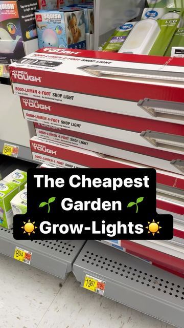 Gary Pilarchik (TRG) on Instagram: "*CORRECTION 8$ a YEAR! People asked what lights work… I’ve been using lights like this for 10 years. The white LEDs are for growing garden transplants that will be put outside. You can spend more money on fancier systems but you don’t need to, for basic garden transplants. This is all you need… 🌱 5000 Lumens or higher. 5000 Kelvin or higher. 2 strips of while LEDs per light. Make sure it has a wall plug. ☀️ Follow me in 2023 and I’ll show you how to grow and Inexpensive Grow Lights, Diy Grow Light Shelf, Indoor Herb Garden Setup, Grow Room Ideas Indoor, Grow Light Set Up, Indoor Grow Light Ideas, Pendant Grow Light, Grow Light Ideas, Grow Lights For Houseplants