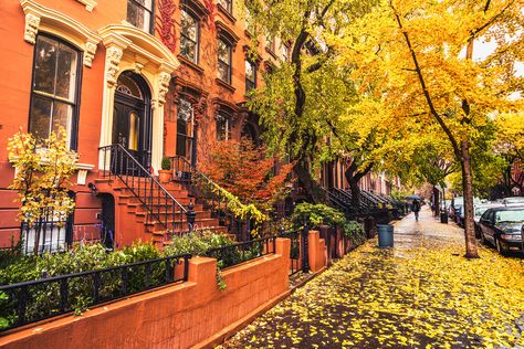 https://flic.kr/p/BhuTpv | Autumn in New York | Brooklyn brownstones and townhouses with Autumn foliage on a rainy fall afternoon in New York City. Nyc Fall Wallpaper, Carroll Gardens Brooklyn, New York Wallpaper, Nyc Fall, Voyage New York, Zero Wallpaper, Good Will Hunting, 500 Days Of Summer, York Wallpaper