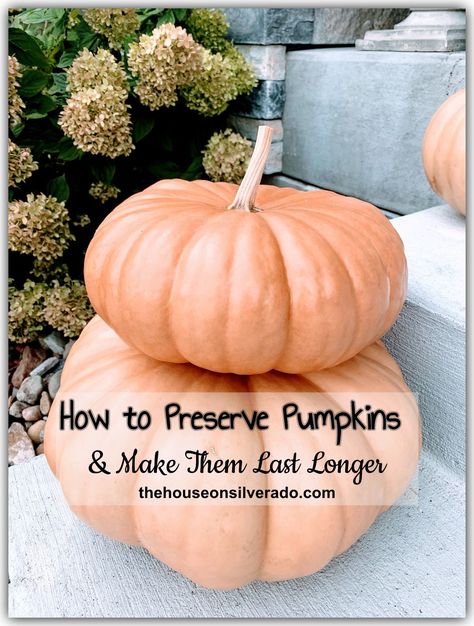 How To Preserve Pumpkins, Preserve Pumpkins, Preserving Pumpkins, Carved Pumpkins, Porch Pumpkins, Pumpkin Cake Recipes, Beautiful Pumpkins, How To Make Pumpkin, Fall Front Porch