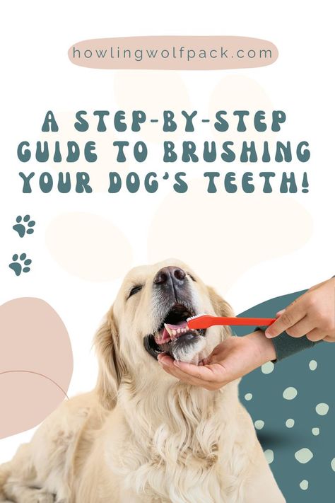 How To Brush Dogs Teeth - A Step-By-Step Guide. Making sure your dog has healthy teeth and gums is important. This step-by-step guide will show you how to brush your dog's teeth, making the process easy and stress-free. Inside this article we discuss which dog toothbrush and dog toothpaste to pick, plus how to set up a regular routine for keeping your pup's pearly whites clean! Brush Dogs Teeth, Brushing Dogs Teeth, Steps Skincare, Pet Dental Care, Dogs Teeth, Dog Toothpaste, Healthy Teeth And Gums, Dog Toothbrush, Dog Teeth Cleaning