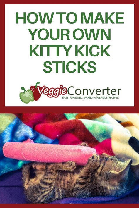 Kitty Ideas, Homemade Cat Toys, Diy Pet Toys, Diy Cat Toys, Cats Diy Projects, Cat Hacks, Homemade Cat, Pet Ideas, Kitten Toys