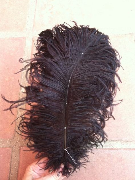 The Costumer's Closet: How to: Fluffy vintage-looking ostrich feathers Millinery Diy, Girly Crafts, Making Hats, Feather Diy, Feather Hat, Millinery Hats, Ostrich Feather, Ostrich Feathers, Kid Crafts