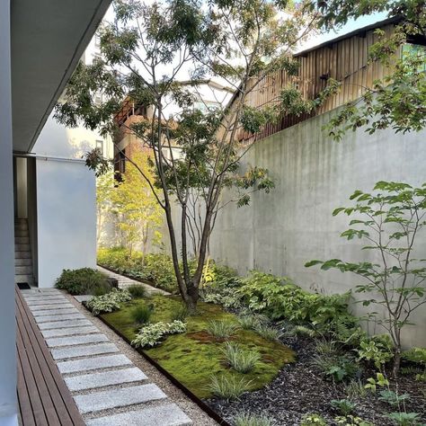 Small Jungle Garden Ideas, Modern Japanese Garden Landscapes, Japanese Courtyard Garden, Indoor Zen Garden, Japanese Courtyard, Atrium Garden, Japanese Garden Backyard, Backyard Garden Landscaping, Modern Japanese Garden