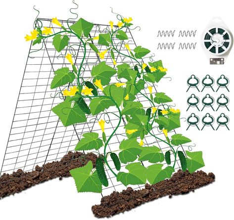 PRICES MAY VARY. 🥒A Frame Trellis: A-frame cucumber trellis can grow a variety of plants from both sides of the trellis. These shapes can promote the airflow of the climbing plants, and the plants will have plenty of sunshine and maximising photosynthesis.You can be arranged narrowly or widely based on your space requirements - makes harvesting easy and joyful. 🥒High Quality Materials: Plant trellis are made of steel wire with powder coating. It's sturdy, rust-proof, water-proof and easy to su Plants Trellis, Squash Trellis, Climbing Plants Trellis, Trellis Garden, Climbing Trellis, Squash Zucchini, Cucumber Trellis, Plants Vegetables, Plant Clips