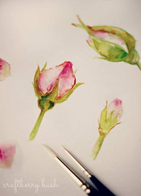 these will be good for simple beginner exercise Beginner Exercise, Watercolor Tips, Watercolor Lessons, My Sketchbook, Rose Bud, Easy Watercolor, Art Instructions, Painting Lessons, Watercolor Inspiration