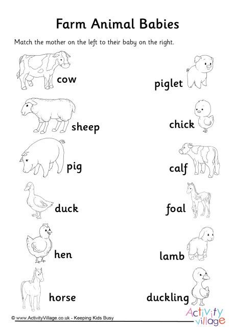 Farm Animal Babies Matchup Worksheet Farm Animals Worksheets For Grade 1, Ukg Evs Worksheets, Farm Animal Worksheet, Farm Animals Worksheet, Farm Animals Preschool, Mother And Baby Animals, Farm Animals Activities, Baby Animal Names, Animal Lessons