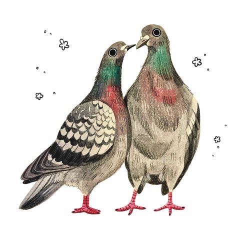 All posts • Instagram Sketchbook Spreads, Cute Pigeon, Art Vibe, Amazing Drawings, Random Art, Sketchbook Inspiration, Bird Pictures, Art Inspiration Painting, Bird Illustration