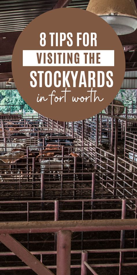 Fort Worth Stock Yards, The Stockyards Fort Worth, Fort Worth Texas Stockyards, Forth Worth Stockyards Outfits, Texarkana Things To Do In, Fort Worth Things To Do, Dallas Stockyards, Ft Worth Texas Things To Do, Stockyards Fort Worth Outfit Winter