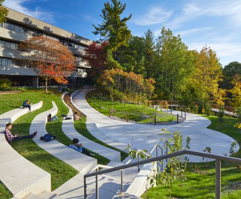 University of Toronto Scarborough Valley Land Trail « Landscape Architecture Platform | Landezine Campus Landscape Architecture, Campus Landscape Design, Amphitheater Architecture, University Of Toronto Scarborough, Landscape Architecture Park, Campus Landscape, Hotel Landscape, Landscape Architecture Plan, Landscape Design Drawings