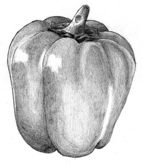 Get Great Stuff - Liron Yanconsky Still Life Pencil, Still Life Pencil Shading, Sketch Shoes, Easy Pencil Drawings, Still Life Sketch, Vegetable Drawing, Shading Drawing, Life Sketch, Fruits Drawing