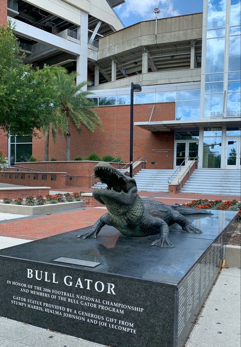 Uf College Aesthetic, Florida College Aesthetic, Alligator Aesthetic, Uf Aesthetic, University Of Florida Aesthetic, College Stadium, College Prints, Florida University, University Inspiration