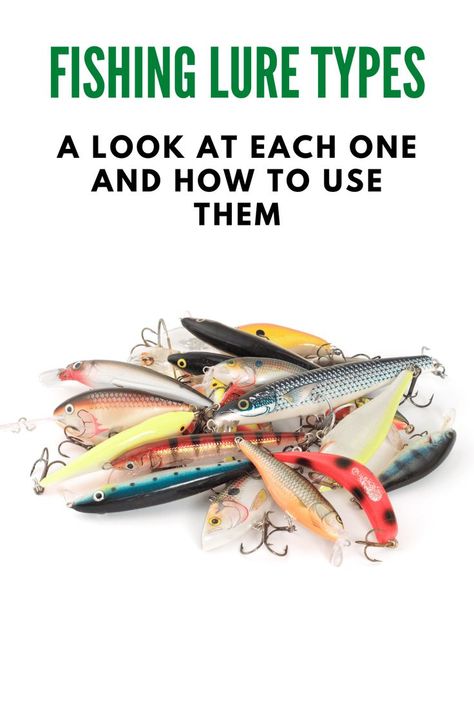 Fishing Tips And Tricks, Saltwater Fishing Lures, Homemade Fishing Lures, Saltwater Lures, Diy Fishing Lures, Different Fish, Bass Fishing Lures, Fly Fishing Tips, Bass Fishing Tips