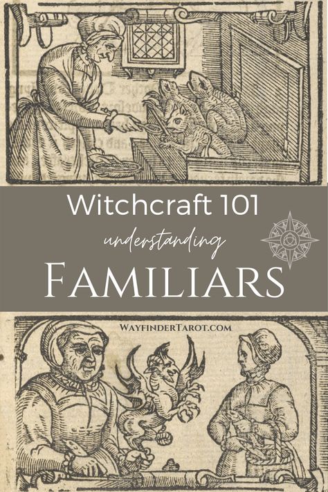 What a Witch's Familiar Is - and Isn't - Wayfinder Tarot A Witches Familiar, Witch’s Familiar, Familiars Witchcraft, Familiars Witch Animal, Witch Familiar Animals, Familiar Spell, Witchy Names, What Is A Witch, Witch Familiar