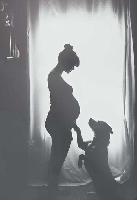 Pregnancy Photoshoot Ideas You Can Actually Use - Tulamama Baby Belly Photos, Unique Maternity Photos, Maternity Photography Poses Pregnancy Pics, Belly Photos, Baby Bump Photos, Pregnant Dog, Photos With Dog, Bump Photos, Baby Sleep Problems