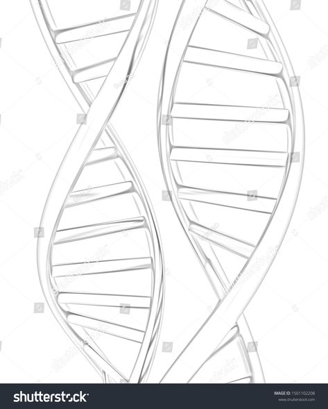 Dna Strand Drawing, Dna Structure Drawing, Dna Drawing Science, Dna Structure Model, Dna Drawing, Dna Structure, Dna Tree, Science Drawing, Dna Art