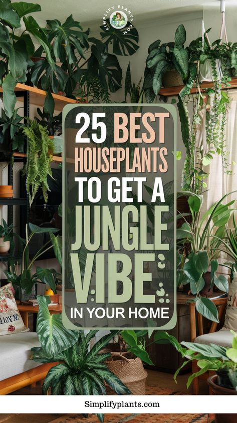 "Transform your space into a lush oasis with our guide to the 25 Best Houseplants to Get a Jungle Vibe in Your Home! Discover stunning houseplant decor ideas that elevate your indoor gardening game. Embrace the urban jungle aesthetic with greenery inspiration that brings life to any room. From plant care tips to creative plant styling, this collection is perfect for every plant lover's paradise!" Small Jungle Garden Ideas, Houseplant Aesthetic, Houseplant Decor, Best Houseplants, Plant Styling, African Plants, Plant Care Tips, Jungle Gardens, Jungle Vibes