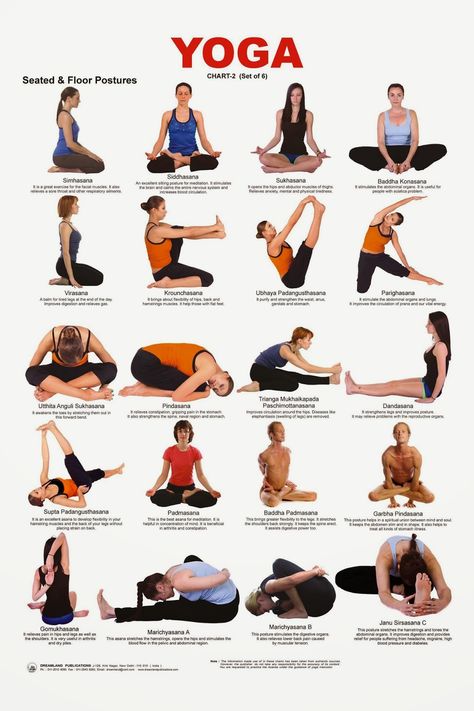 Maybe your doctor, chiropractor, physical therapist, or best friend  told you Yoga would be good for you.  You have heard so much about Yoga... Yoga Sitting Pose, Sitting Yoga Poses For Beginners, Sitting Yoga Poses, Yoga Chart, Seated Yoga Poses, Yoga Poses Chart, Yoga Abs, Yoga Nature, Basic Yoga Poses