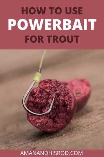 how to use powerbait for trout How To Catch Trout, Fishing Tips And Tricks, Trout Fishing Gear, Trout Fishing Lures, Fish Types, Fishing Trout, Fishing Hacks, Homemade Fishing Lures, Rainbow Trout Fishing