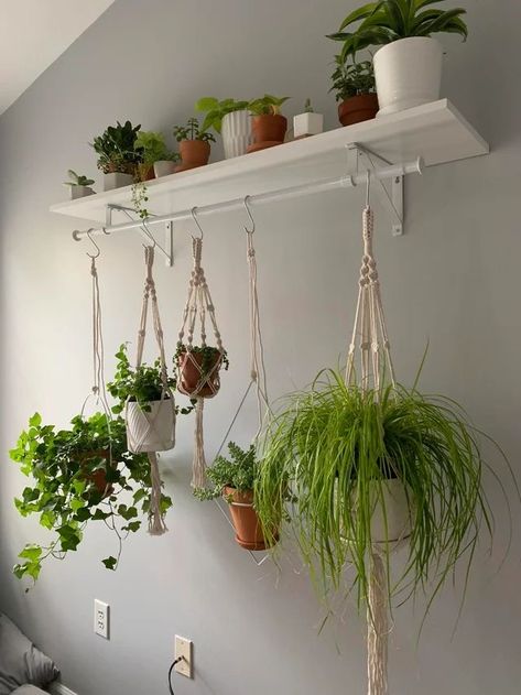 Hanging Plant Corner Bedroom, Ways To Decorate With Plants, Gallery Wall With Plants, Plant Display Indoor, Texas Apartment, Plant Inspiration, نباتات منزلية, Plant House, Bar Shelf