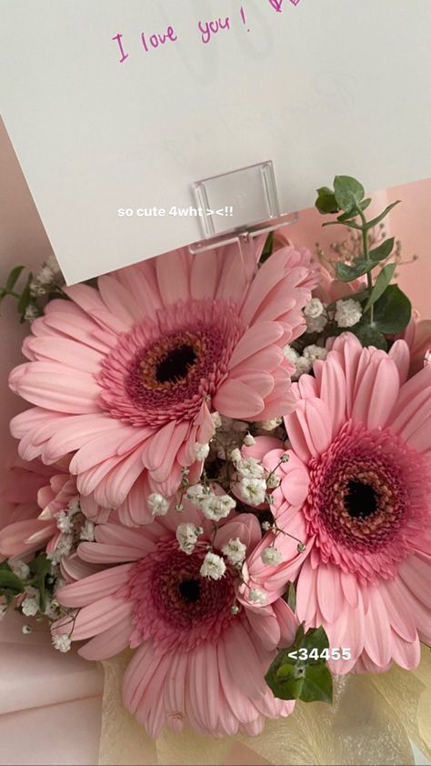 Pink Gerbera Daisy Bouquet, Pink Daisy Bouquet, Receiving Flowers, Gerbera Flower, Pink Daisies, Daisy Bouquet, Boquette Flowers, Nothing But Flowers, Flowers Bouquet Gift