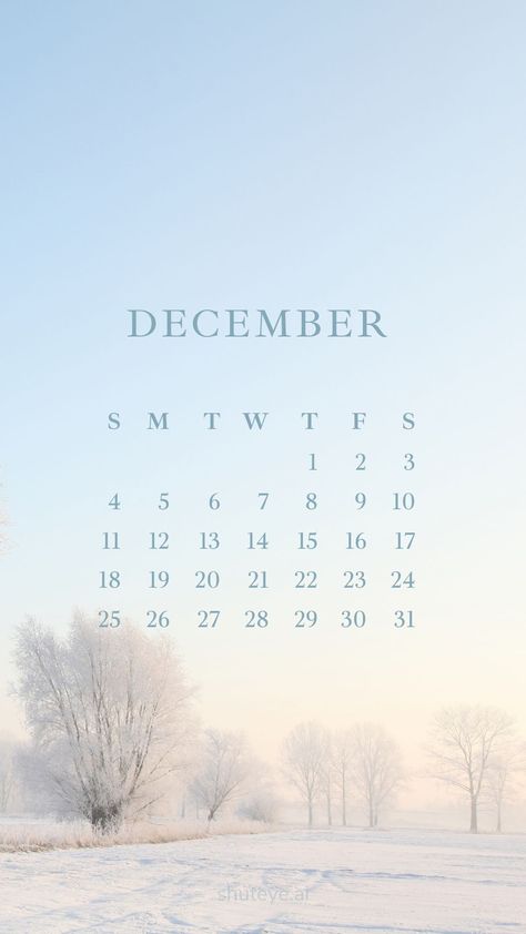 Printable December Calendar 2023 | Free Printable Calendars - ShutEye December Calendar Ideas, December Wallpaper Iphone, Cat Symbolism, Printable December Calendar, Destop Wallpaper, Free Printable Calendars, Calendars 2024, Free Calendars, December Wallpaper