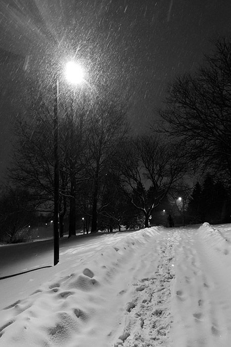 Winter Black And White Aesthetic, Hyperpop Wallpaper, Nature Black And White, Sunrise City, Dark Outside, Snow Outside, Snow Night, I Love Winter, Winter Photo