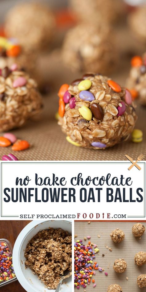 Nut Free Kids Snacks, Protein Snacks For Kids, Chocolate Sunflower, Oat Balls, Nut Free Snacks, High Fiber Snacks, Fiber Snacks, Healthy Nuts, Free Snacks