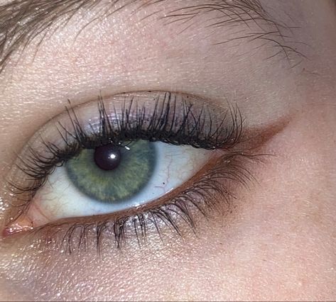 Cute Brown Eyeliner Looks, Brown Puppy Dog Eyeliner, Natural Makeup Brown Eyeliner, Lower Lashline Eyeliner, Brown Eyeshadow Under Eye, Small Brown Winged Eyeliner, Faded Eyeliner Look, Brown Water Line Makeup, Brown Mascara And Eyeliner Look