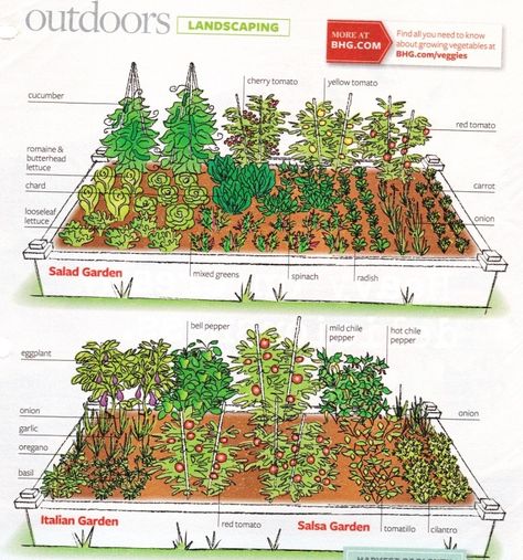 Garden layout  (BHG magazine) Plantarea Legumelor, Small Garden Layout, Garden Plot, Vegetable Garden Planner, Vegetable Garden Raised Beds, Garden Layout Vegetable, نباتات منزلية, Vegetable Garden Planning, Garden Planner